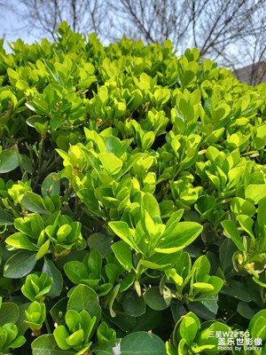 【美好時(shí)光】+公園溜達(dá)