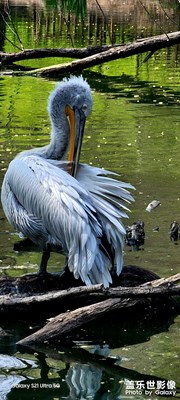 濟(jì)南動(dòng)物園