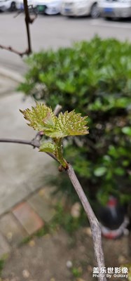 春天來了，夏天還會(huì)遠(yuǎn)么？