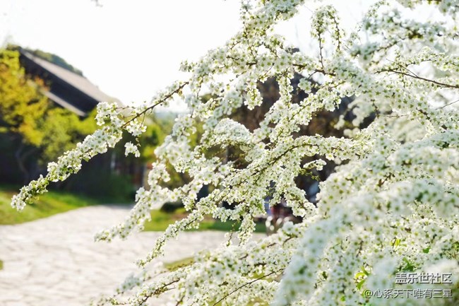 《不負(fù)春光》春意漸濃，生機(jī)盎然