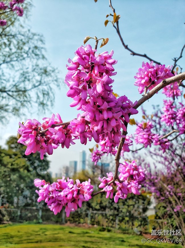 《不負(fù)春光》+萌動芽蘇