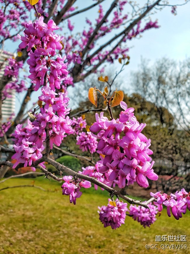 《不負(fù)春光》+萌動芽蘇
