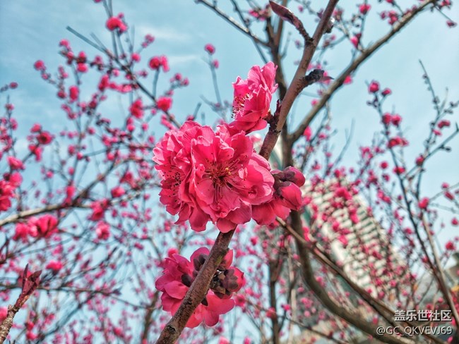 《不負(fù)春光》+萌動芽蘇