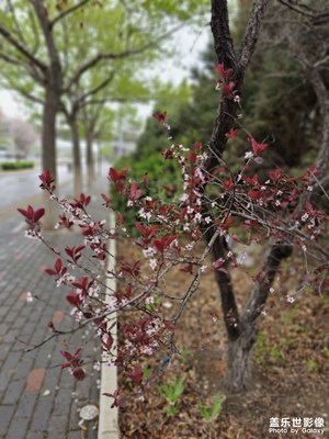 清明