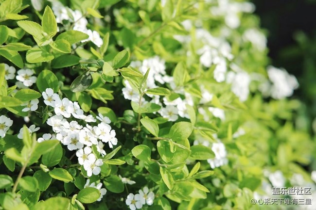 《不負(fù)春光》春意漸濃，生機(jī)盎然