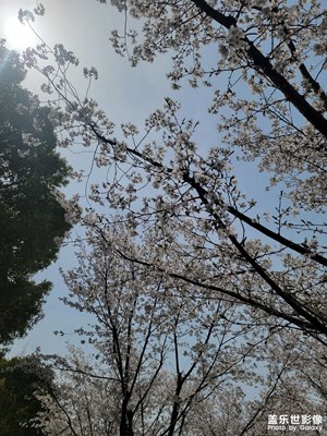 【美好時光】生活