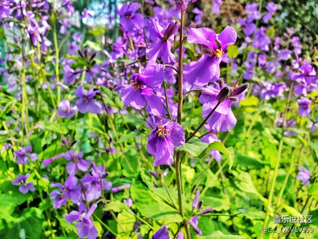 《不負(fù)春光》+萌動芽蘇