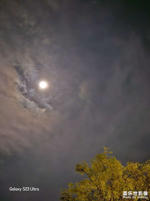 龍泉驛的夜