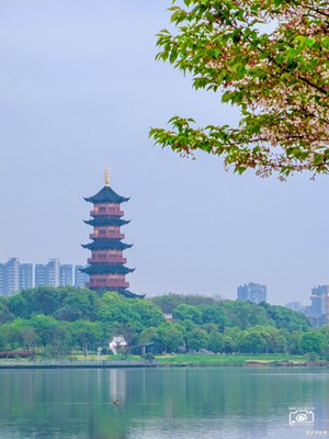 Galaxy S23 Ultra疑似江南岸