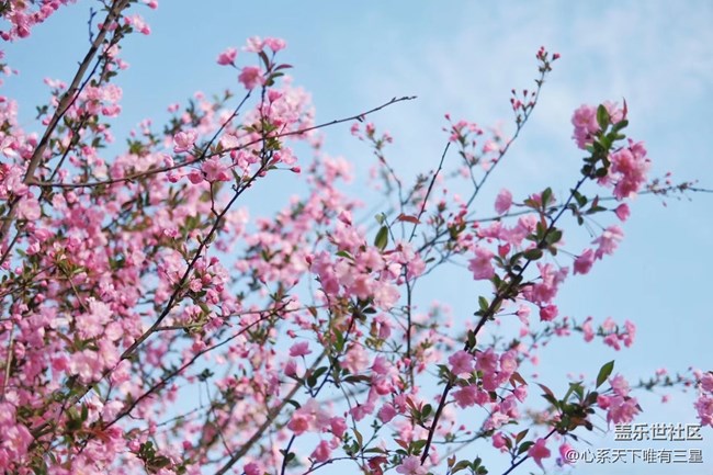 《不負(fù)春光》春意漸濃，生機(jī)盎然