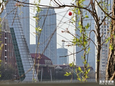 【美好時光】+記錄美麗的城市風光
