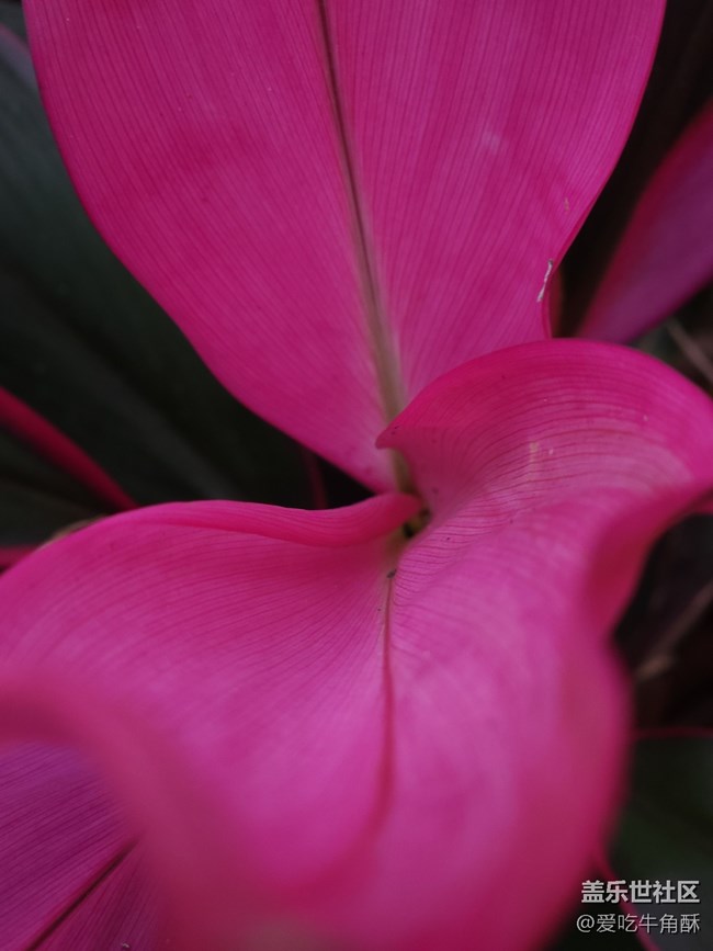 【生機(jī)盎然】靜謐的春天