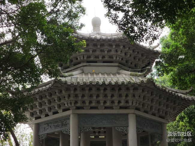 【不負(fù)春光】春光無限好