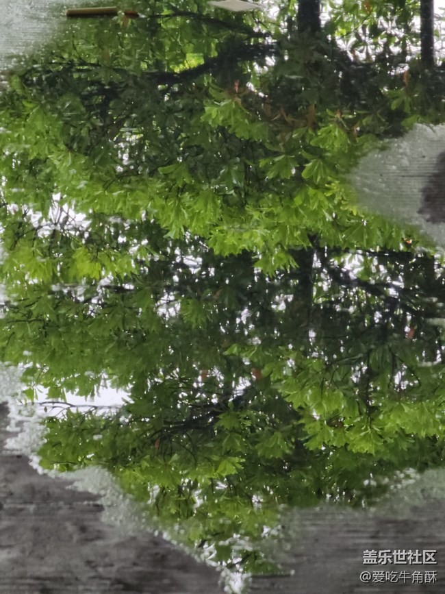 【不負(fù)春光】春光無限好