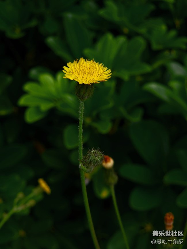 【不負(fù)春光】春光無限好