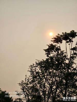 清明隨拍