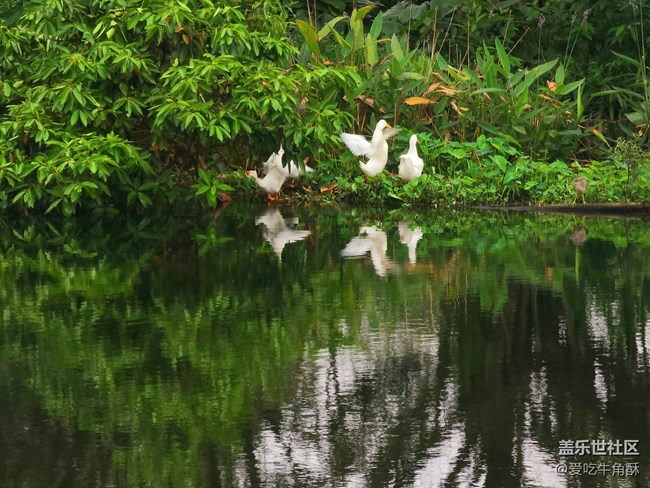 【風和日麗】安靜的景色