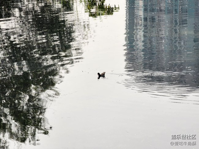 【生機(jī)盎然】靜謐的春天
