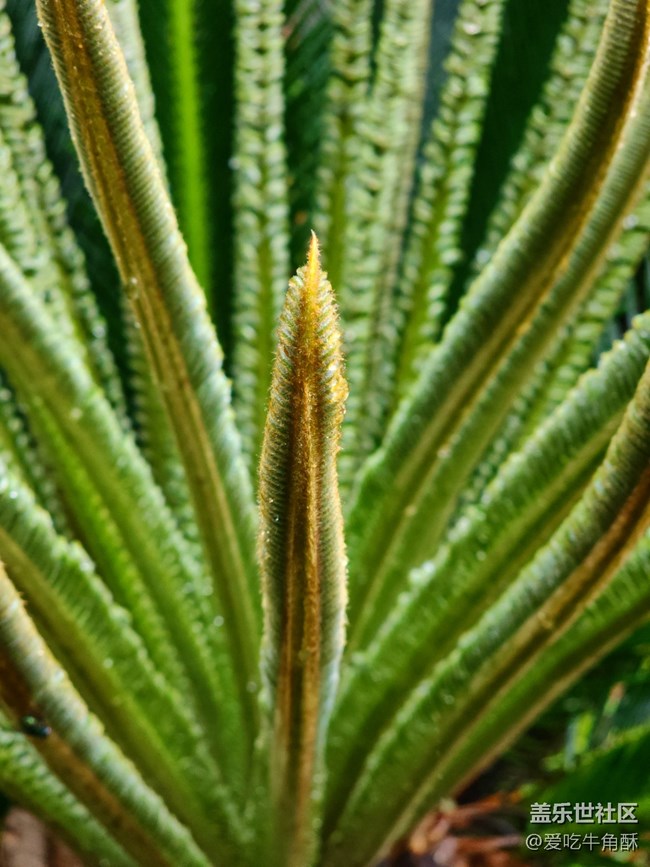【風和日麗】安靜的景色