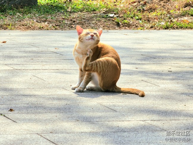 【身邊的小動(dòng)物】可愛(ài)的們~