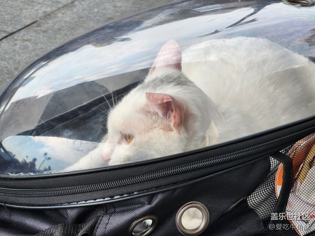 【身邊的小動(dòng)物】可愛(ài)的們~