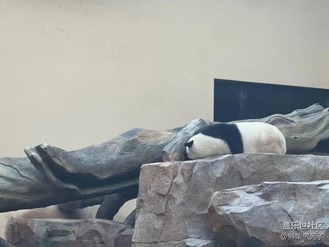 【身邊的小動物】動物園看動物