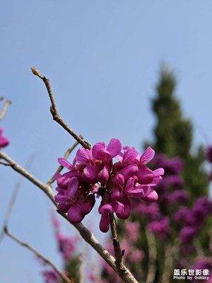 春天出門轉(zhuǎn)轉(zhuǎn)