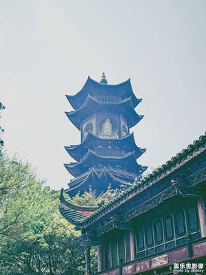 隨拍記