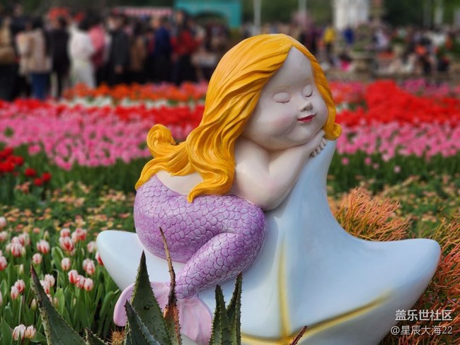 【風(fēng)和日麗】+逛花展