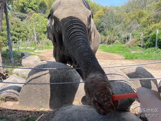 【身邊的小動物】動物園看動物