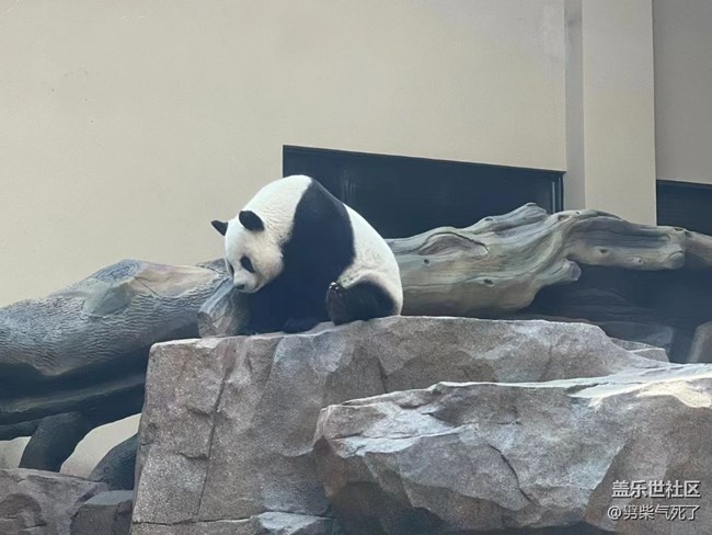 【身邊的小動物】動物園看動物