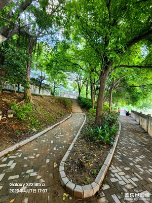 經(jīng)雨不隨山鳥(niǎo)散
