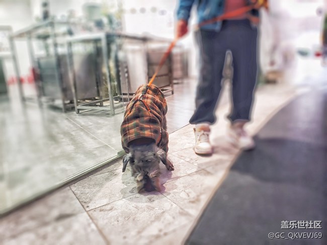 【身邊的小動(dòng)物】+為樂(lè)而為