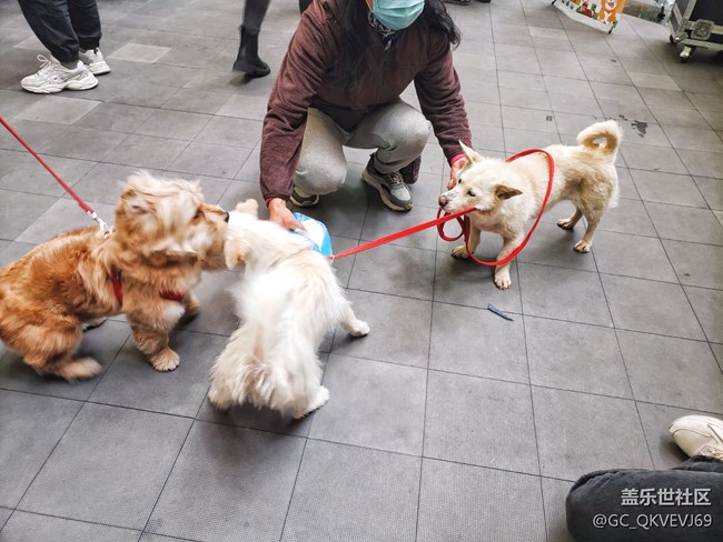 【身邊的小動(dòng)物】+為樂(lè)而為