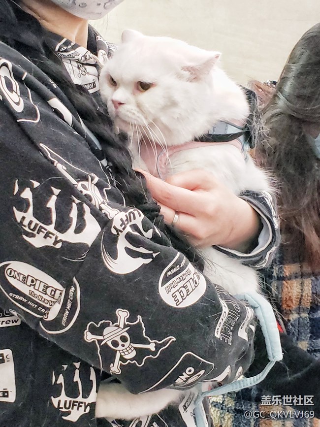 【身邊的小動物】+夢想的溫柔