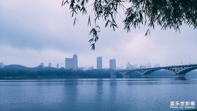 霧鎖紫荊，煙雨春