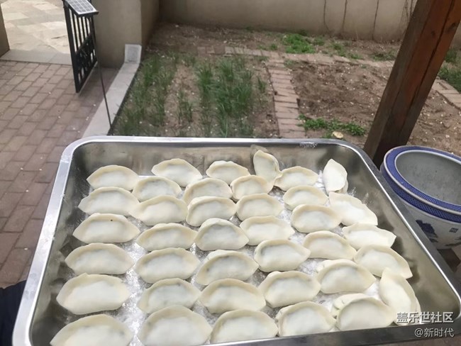 【生機(jī)盎然】自家韭菜包餃子