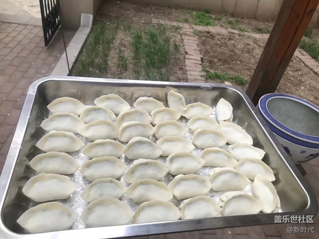 【生機(jī)盎然】自家韭菜包餃子