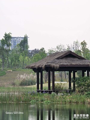 東安湖美景