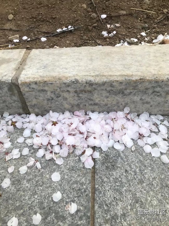 【生機(jī)盎然】自家韭菜包餃子