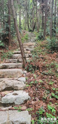 山