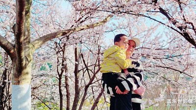 賞花
