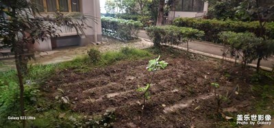 隨拍