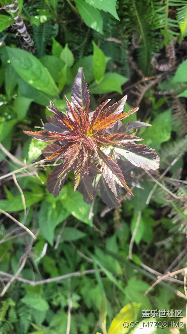 《不負(fù)春光》春回大地