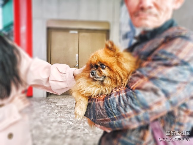 【身邊的小動物】+擁抱狗狗