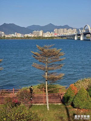 【四月物語(yǔ)】距離不遠(yuǎn)，距離很遠(yuǎn)