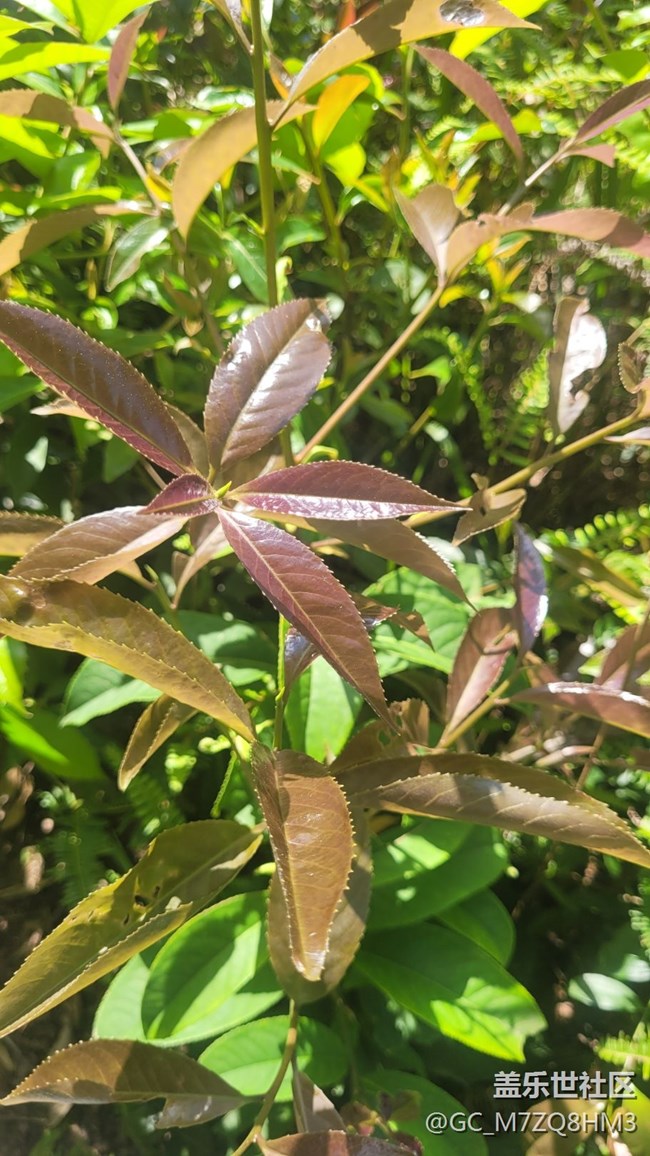 《不負(fù)春光》春回大地