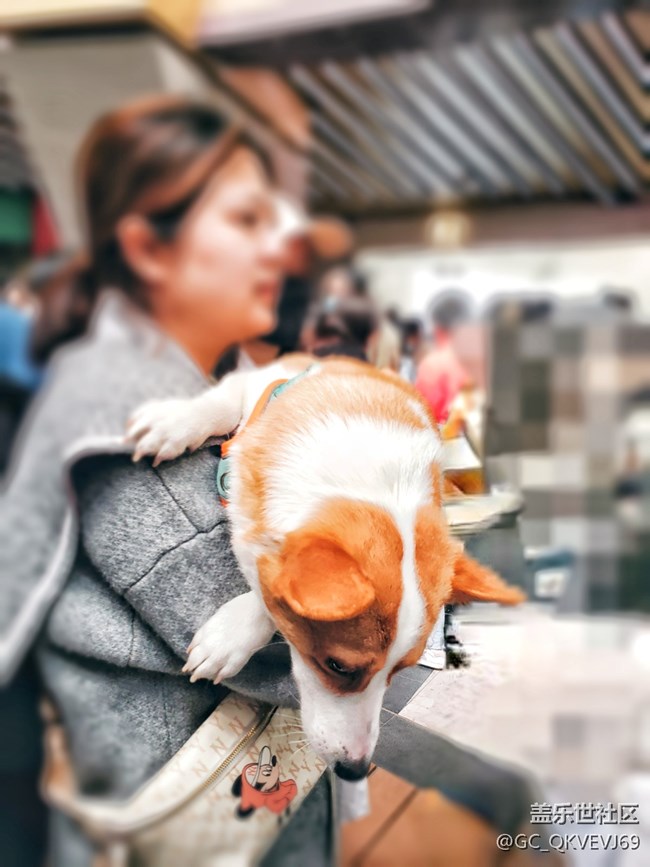 【身邊的小動物】+擁抱狗狗