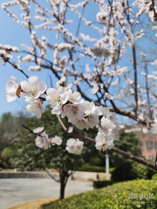 【哈爾濱之春】+ 抓住春天的腳步