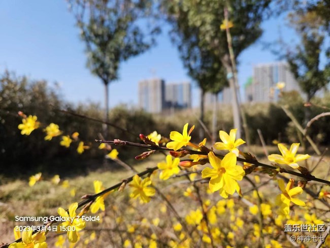 【哈爾濱之春】+ 抓住春天的腳步